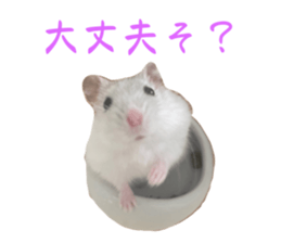 533927444