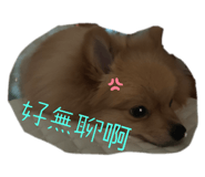 533932427