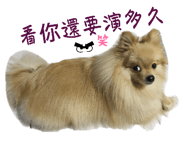 533932428