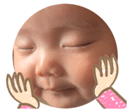 533936646