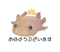 533963040