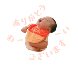534004027