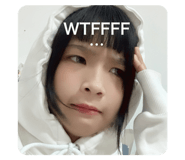 534006629
