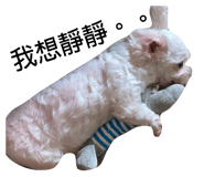 534007155