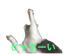 534014388