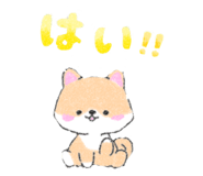 534033340
