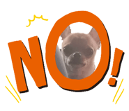 534033739