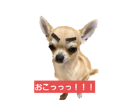 534033740