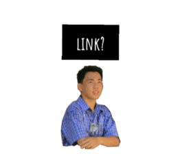 53403419