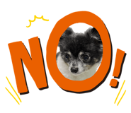 534038080