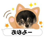 534038083