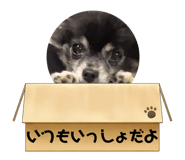 534038094