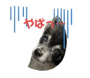 534038106