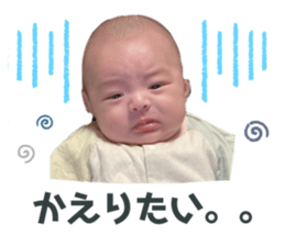 534063968