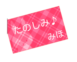 53406604