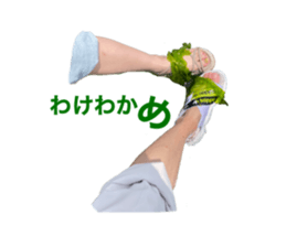 534077540