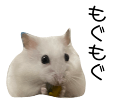 534125200