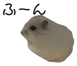 534125201