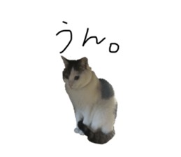 534144425