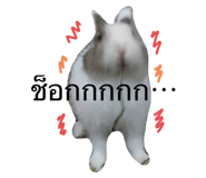 534201570