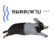 534201577