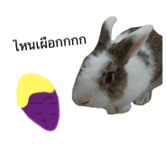 534201579