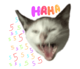 534203984
