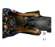 534212694