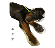 534212696