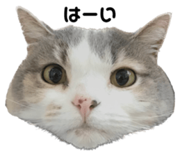 534243186