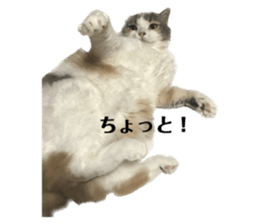 534243192