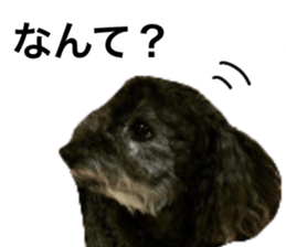 534243446