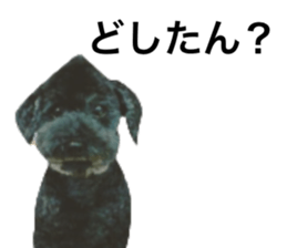 534243450