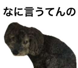 534243463