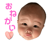 534253095