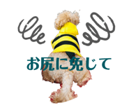534260186