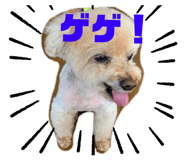 534260204