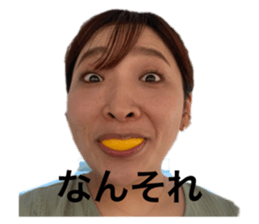 534263646