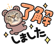 534274853