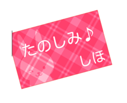 53429716