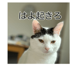 534303904