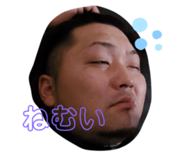 534311371