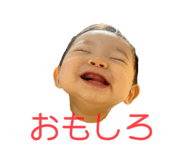 534312263