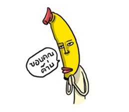 5343136