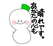 53440693