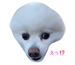 534414367