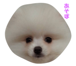534414373