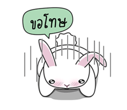 5344300