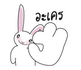 5344305