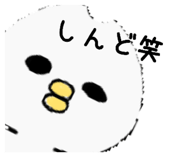 534436540